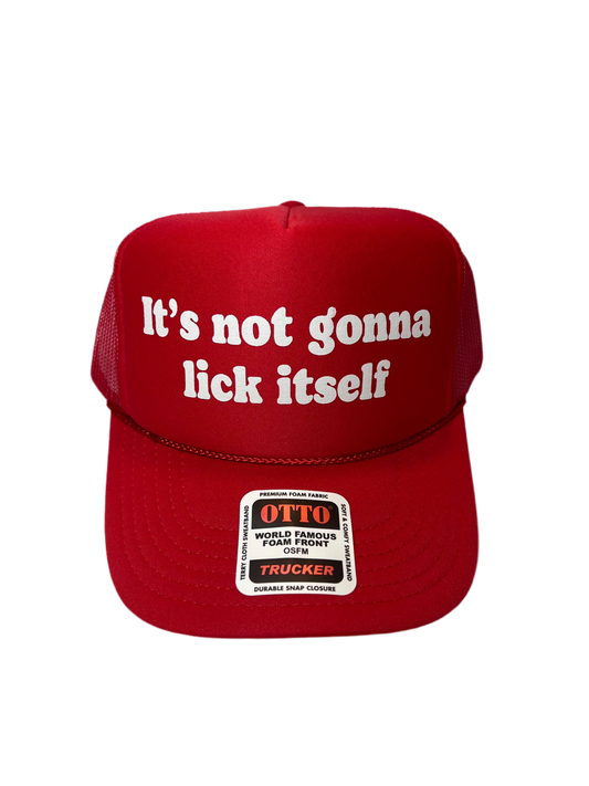 It’s Not Gonna Lick Itself Trucker Hat - Funny Trucker Hats